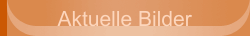Aktuelle Bilder